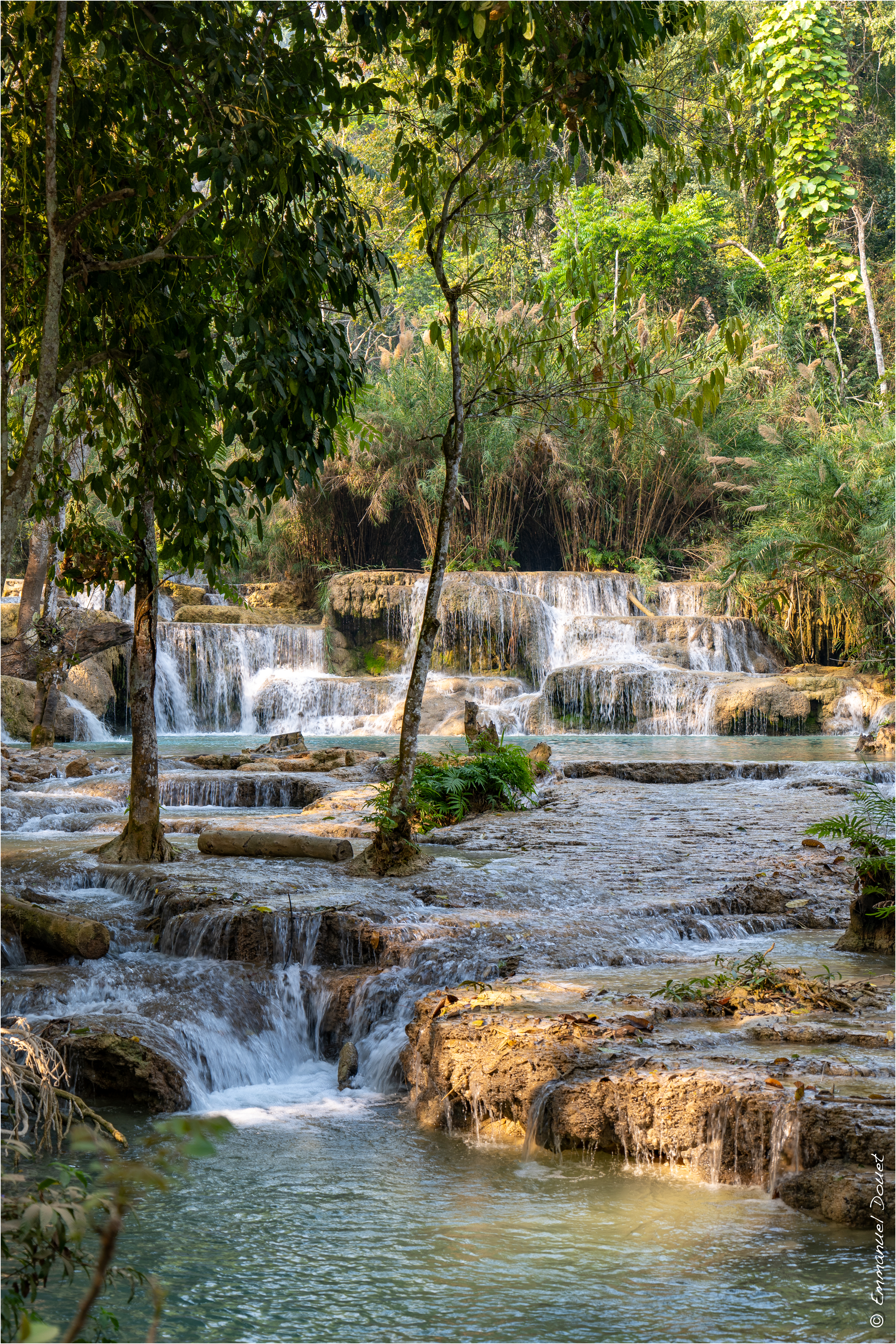 2025 02 Thaïlande&Laos 355