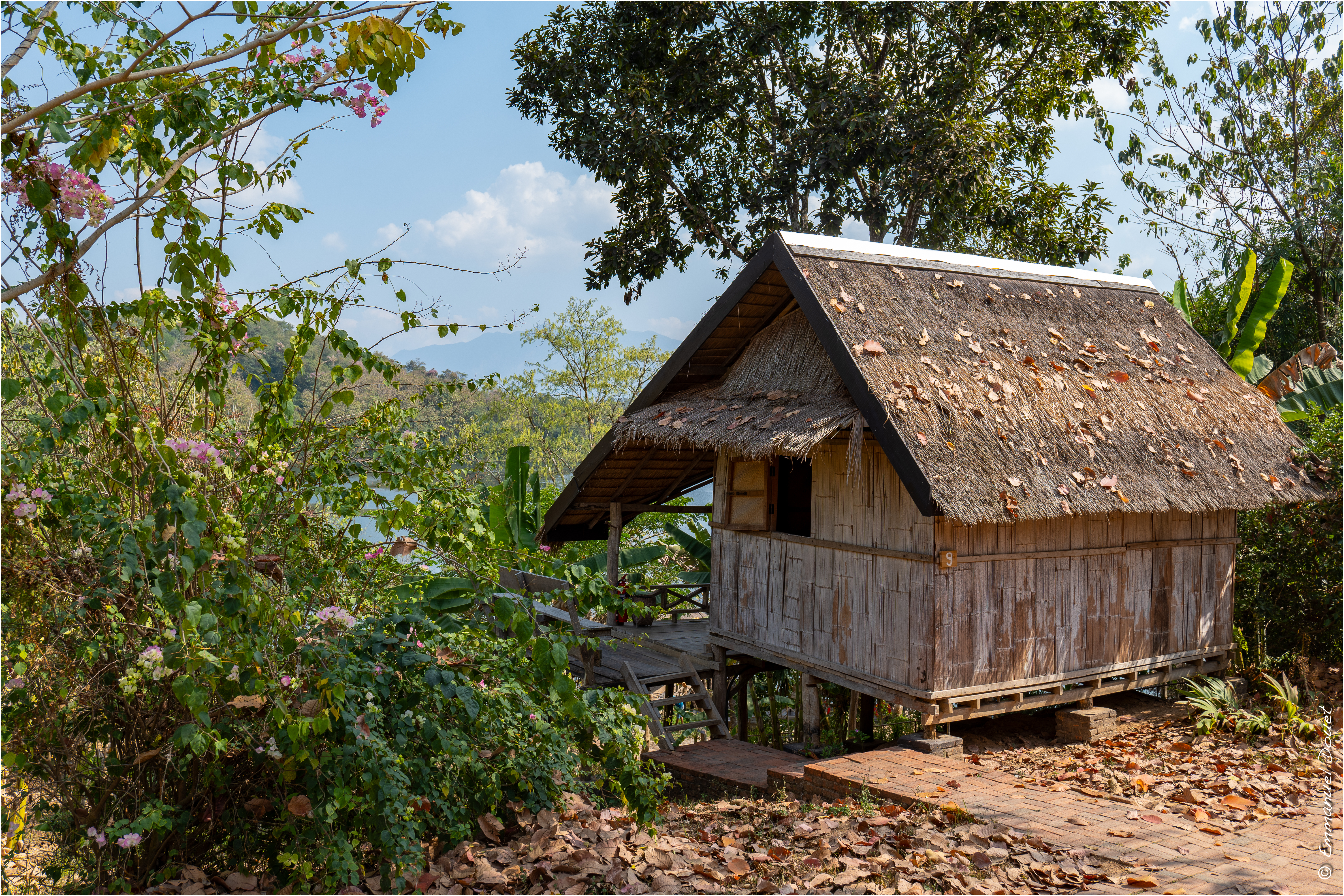 2025 02 Thaïlande&Laos 364
