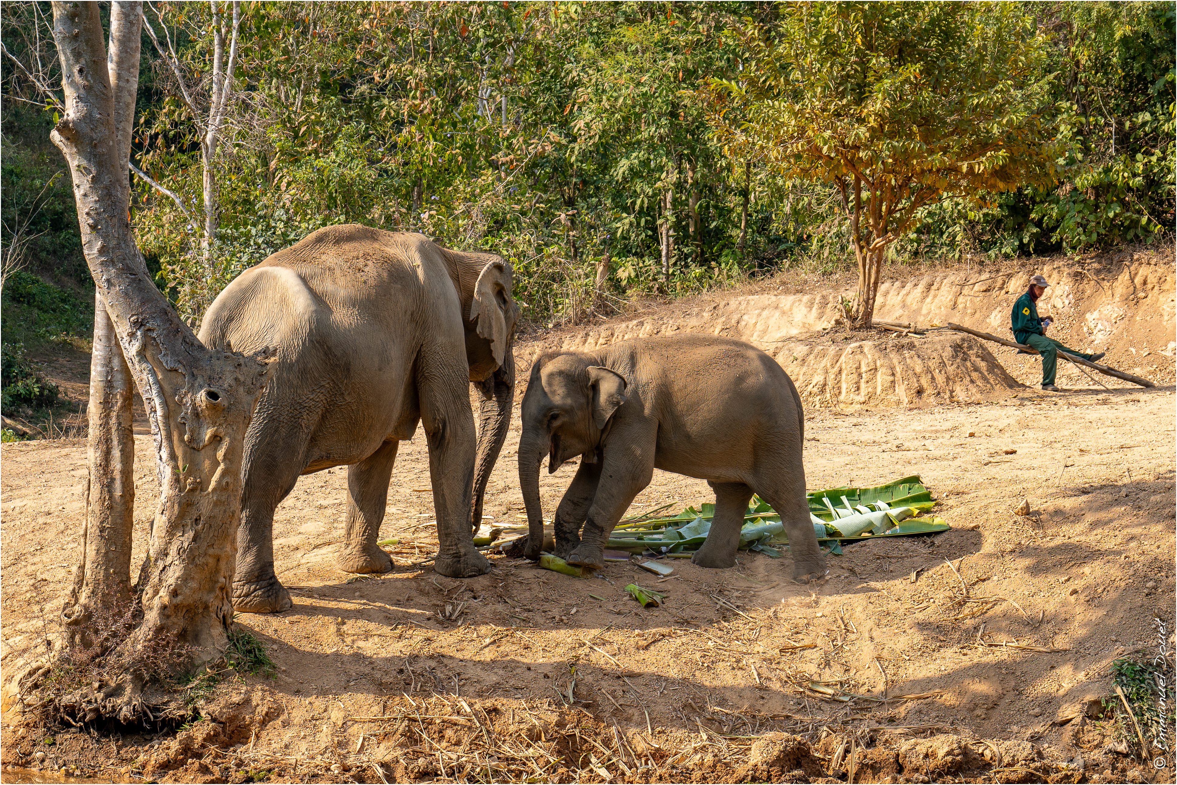 2025 02 Thaïlande&Laos 371