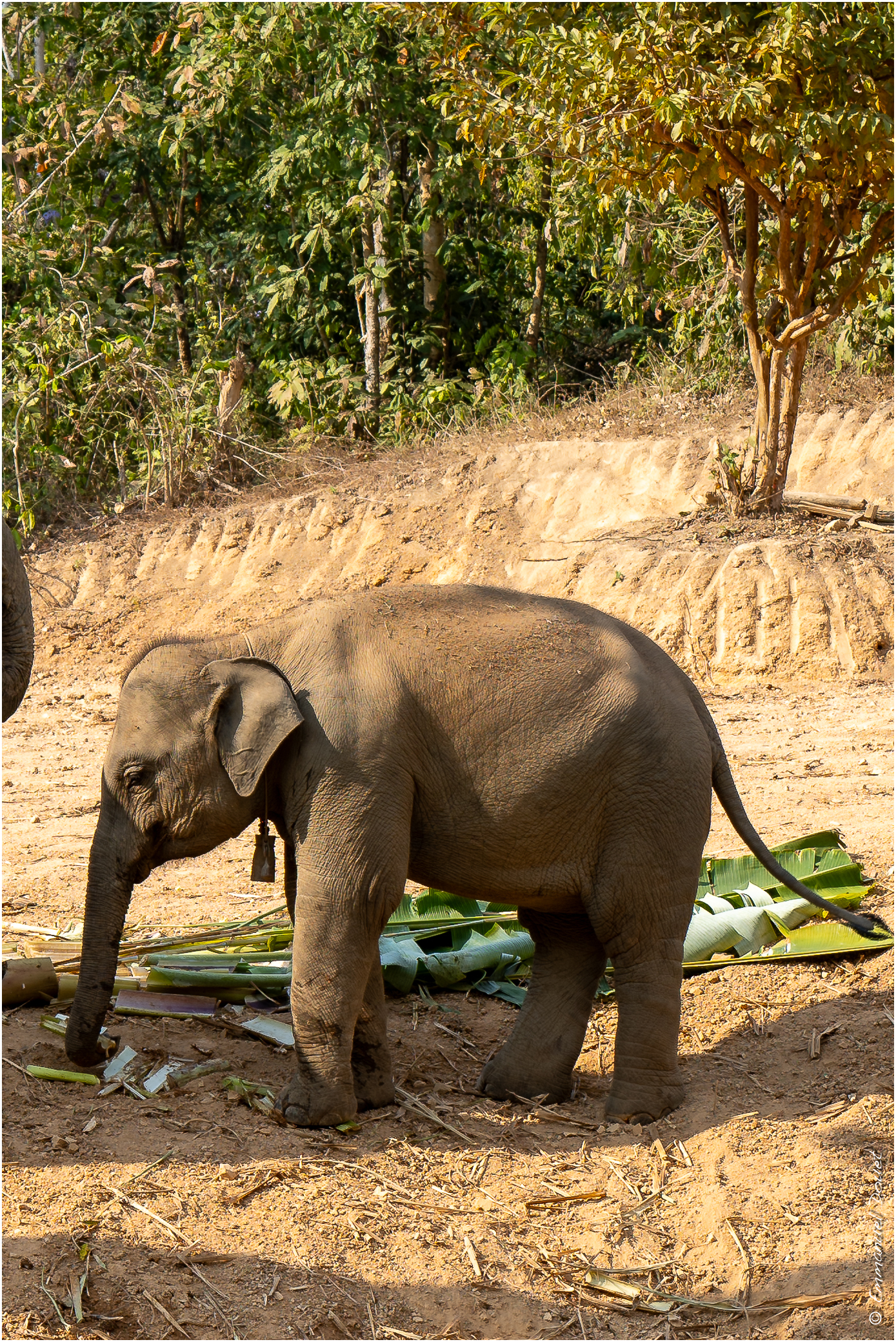 2025 02 Thaïlande&Laos 372