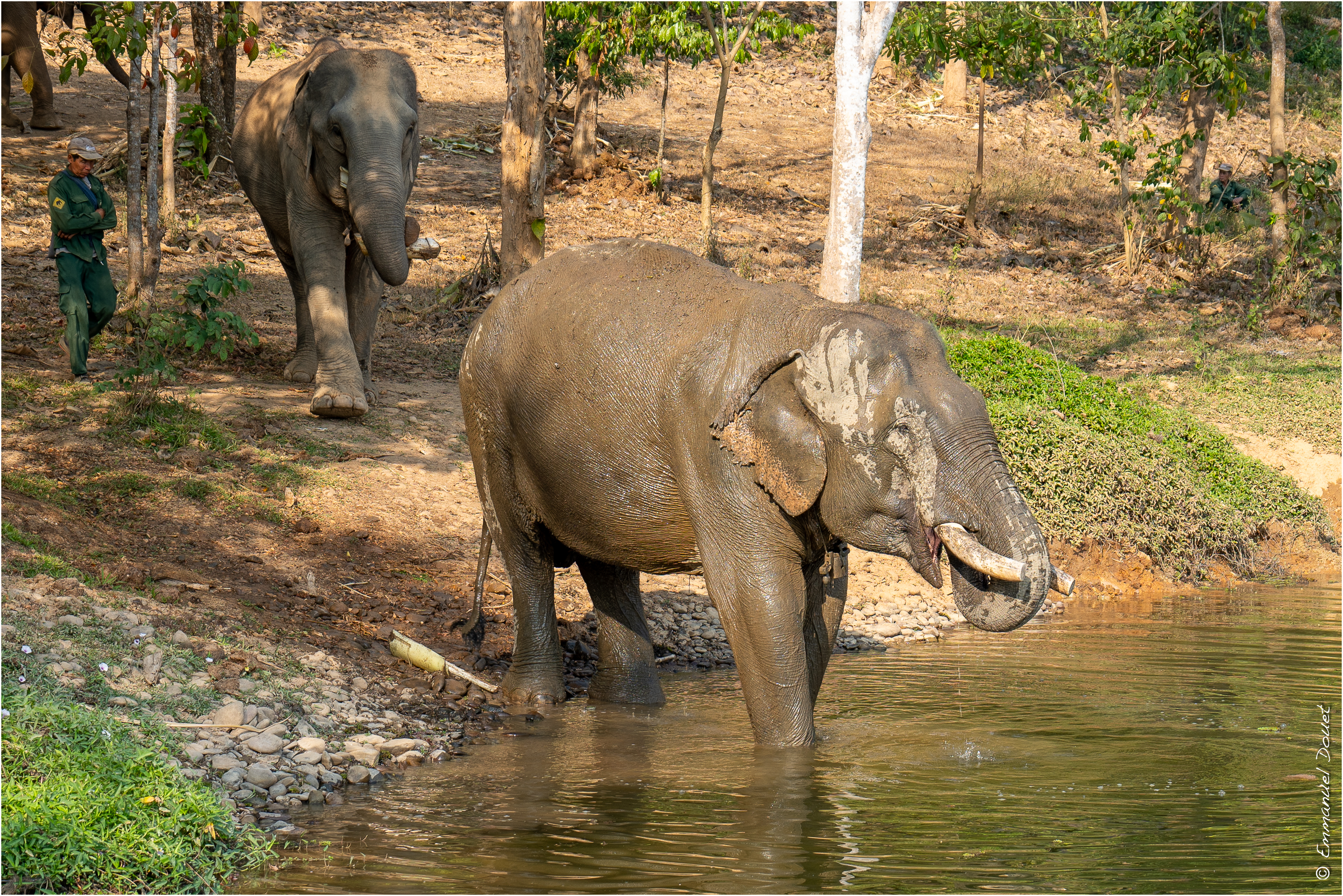 2025 02 Thaïlande&Laos 375