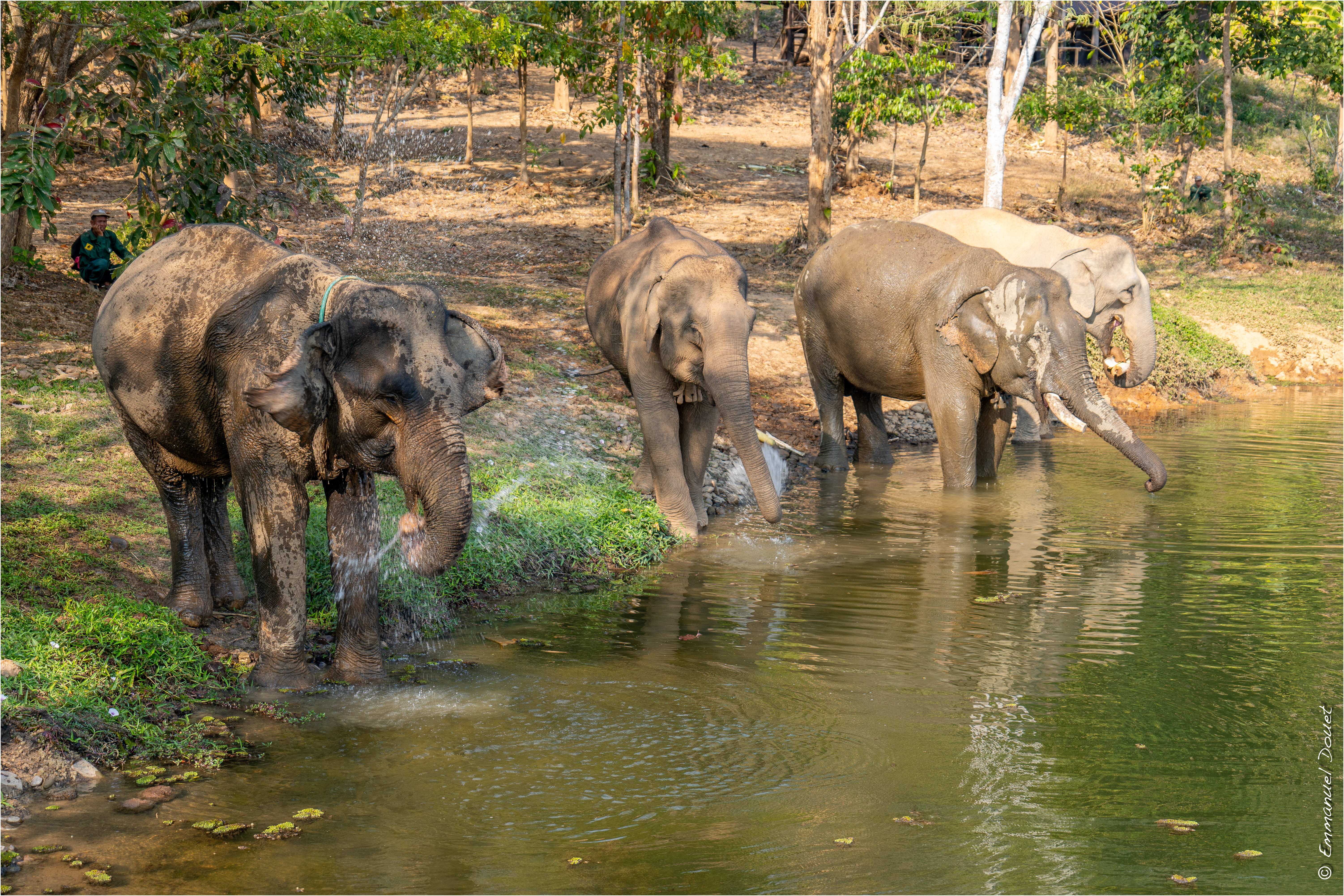 2025 02 Thaïlande&Laos 377