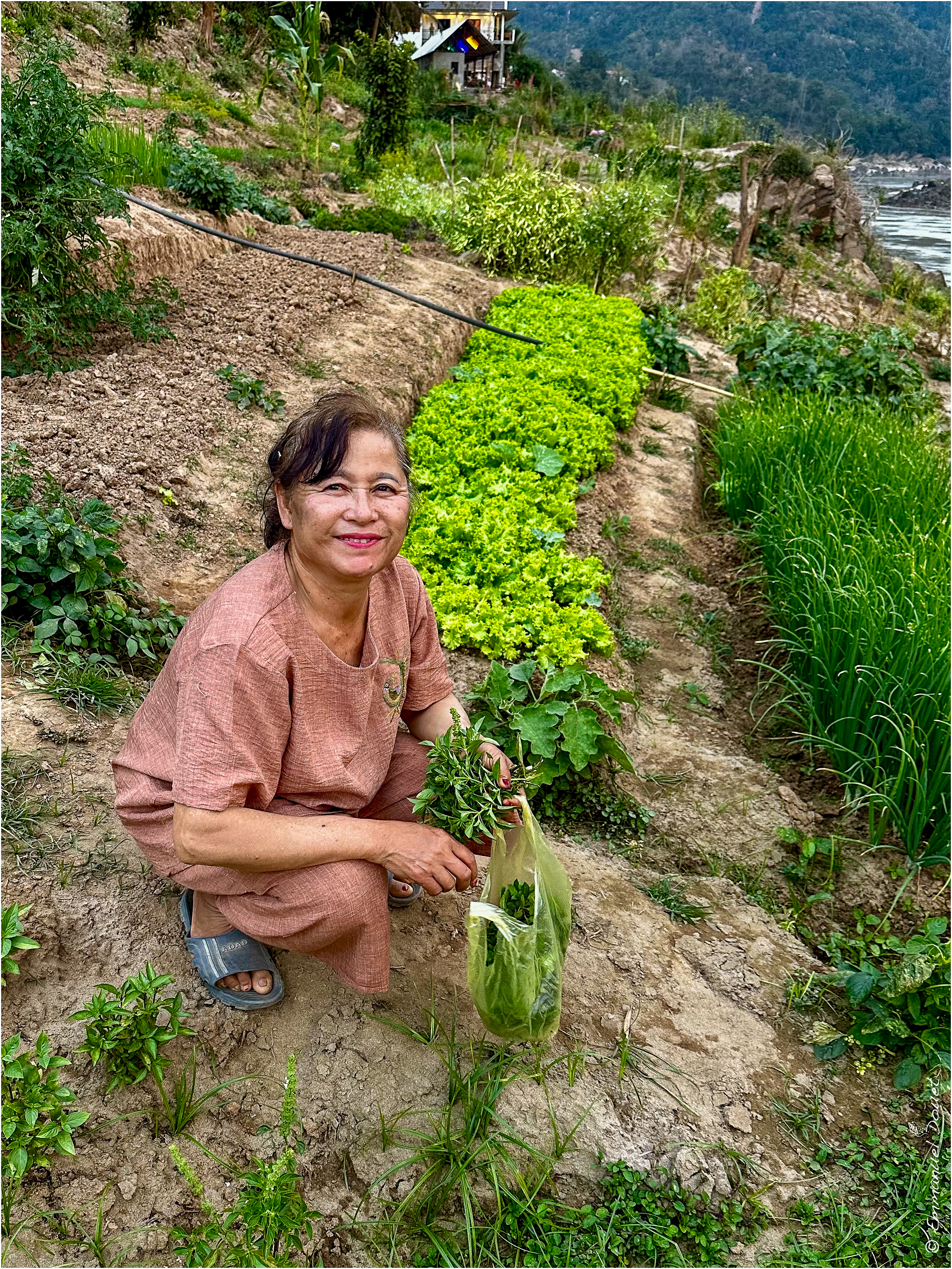 2025 02 Thaïlande&Laos 411