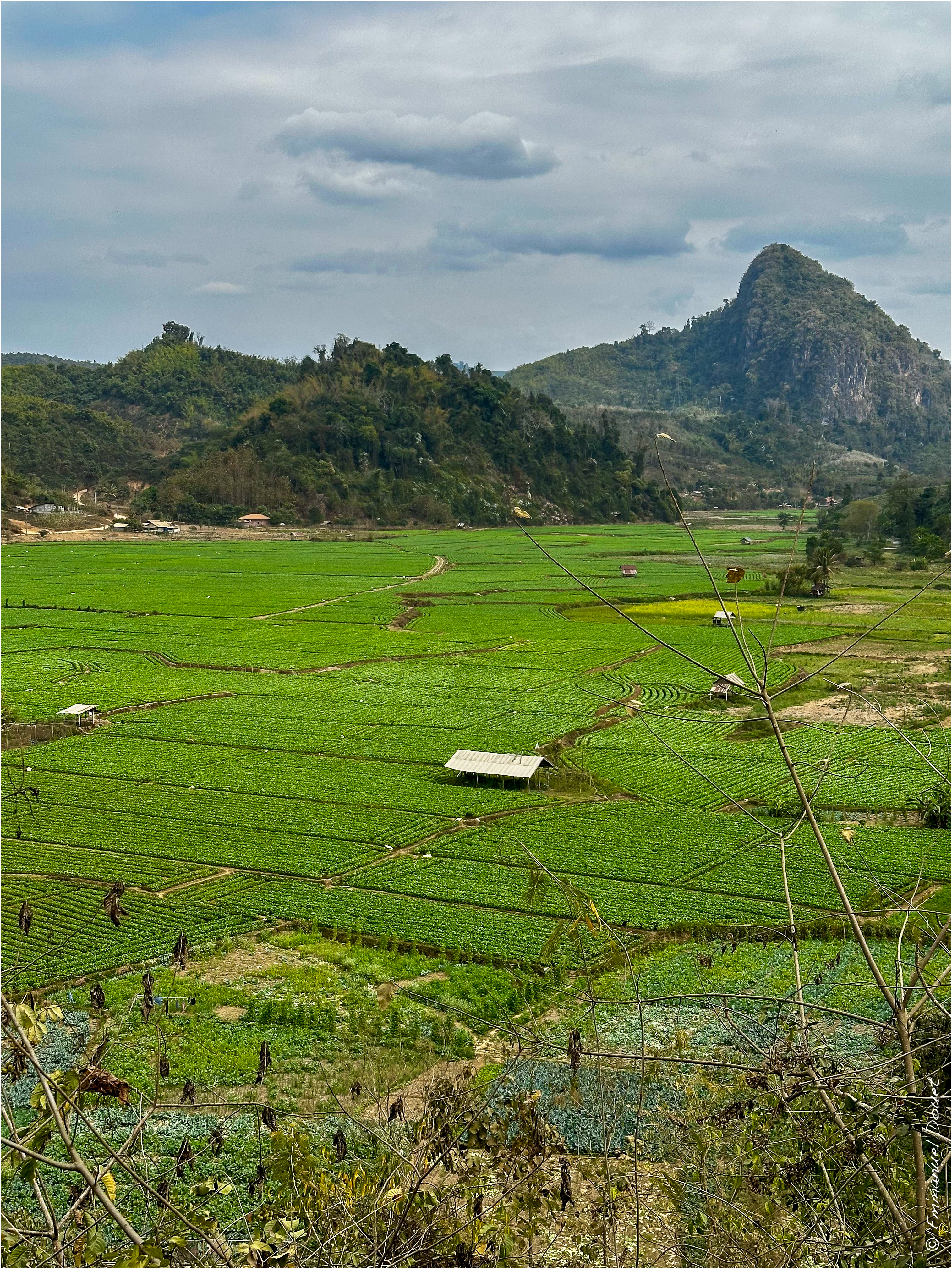 2025 02 Thaïlande&Laos 433