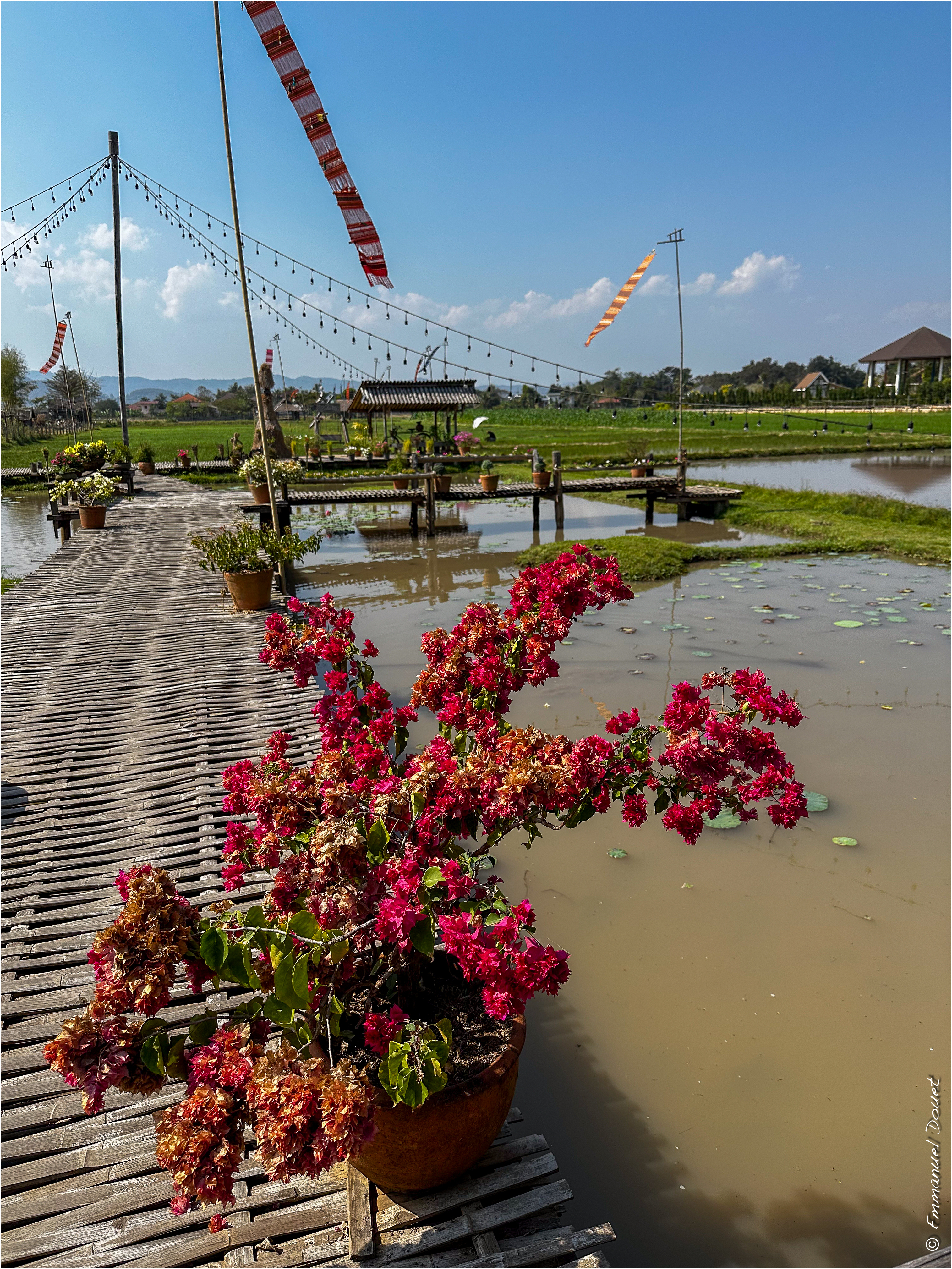 2025 02 Thaïlande&Laos 464