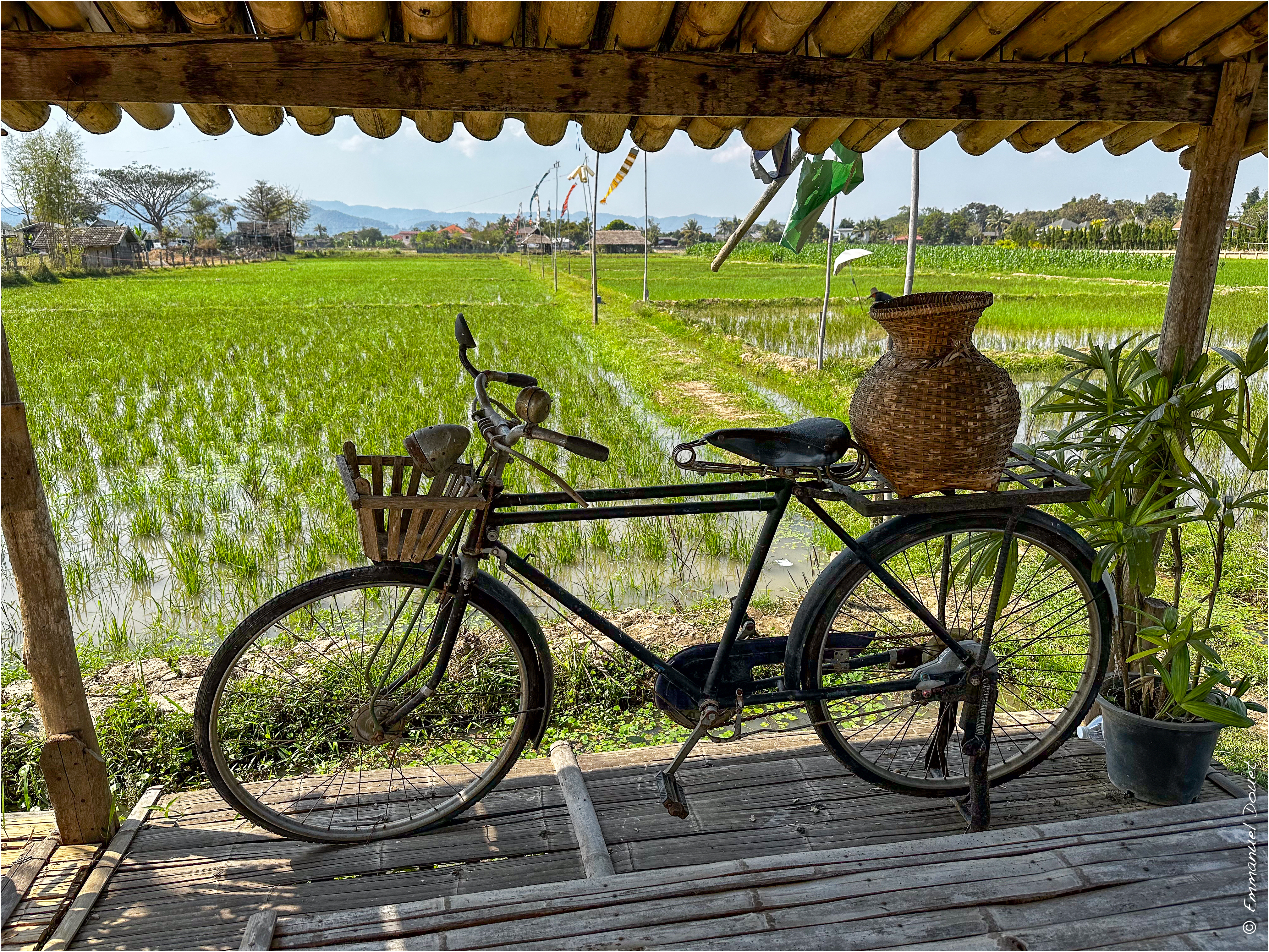 2025 02 Thaïlande&Laos 466