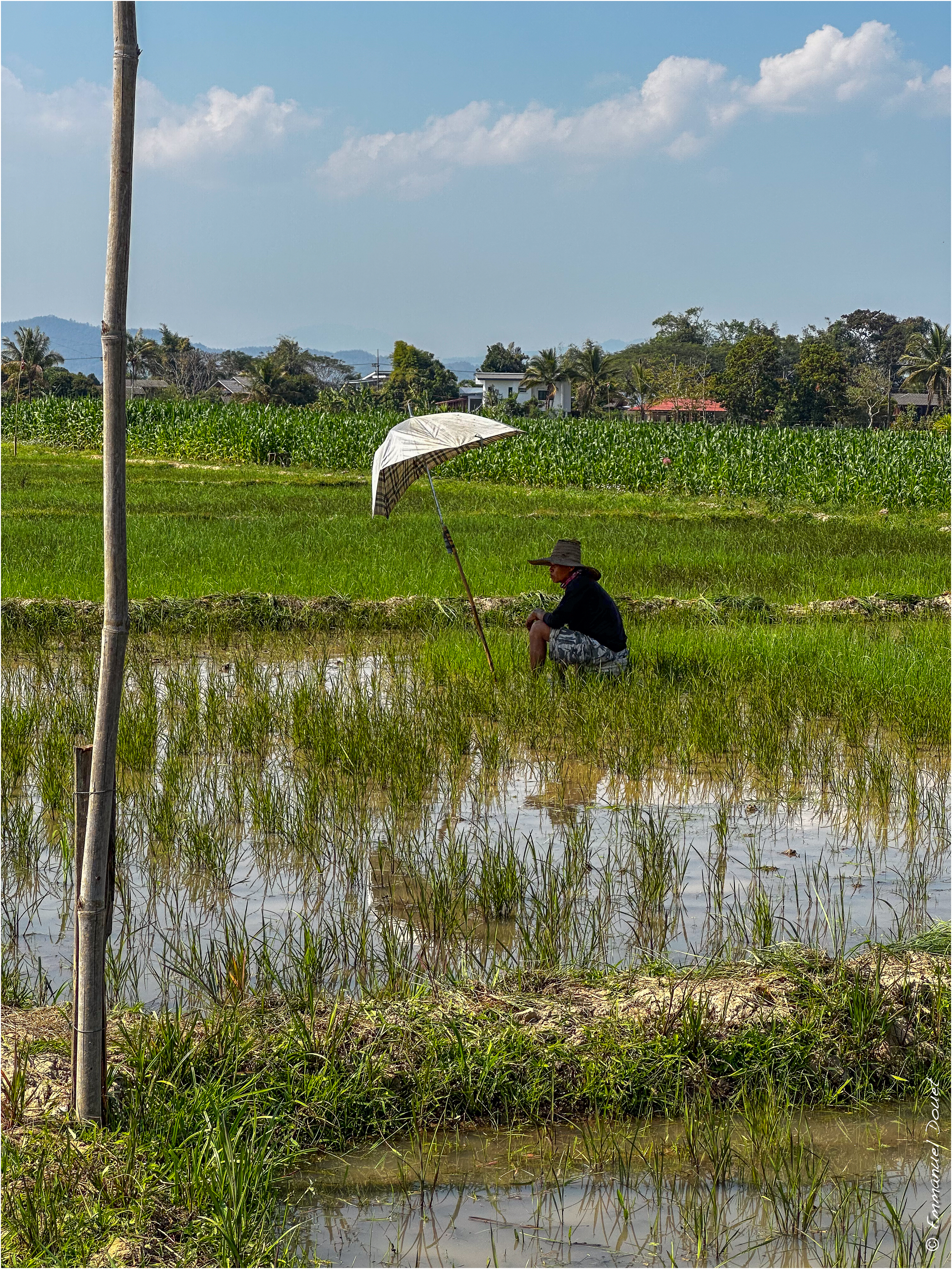 2025 02 Thaïlande&Laos 467