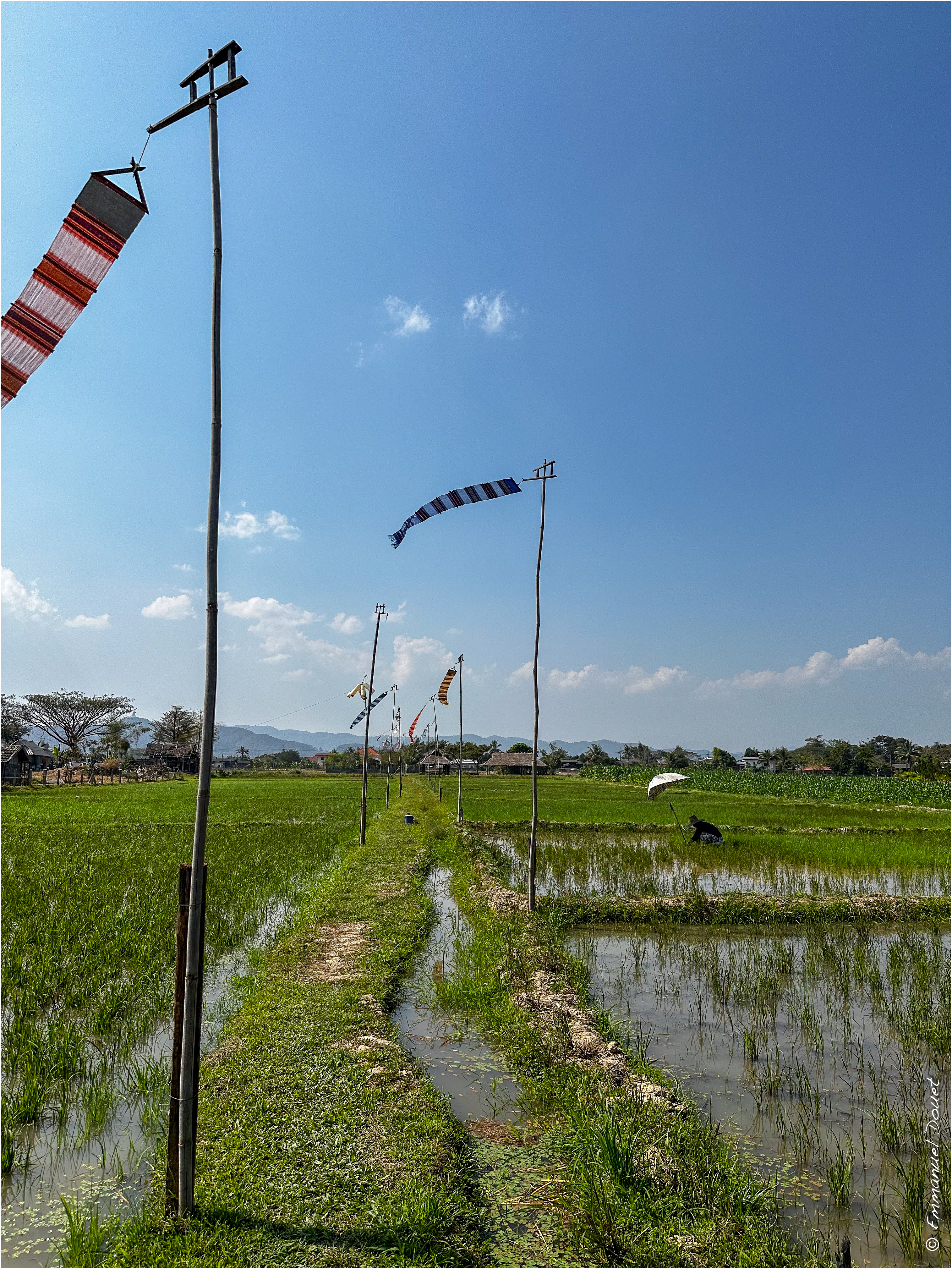 2025 02 Thaïlande&Laos 468