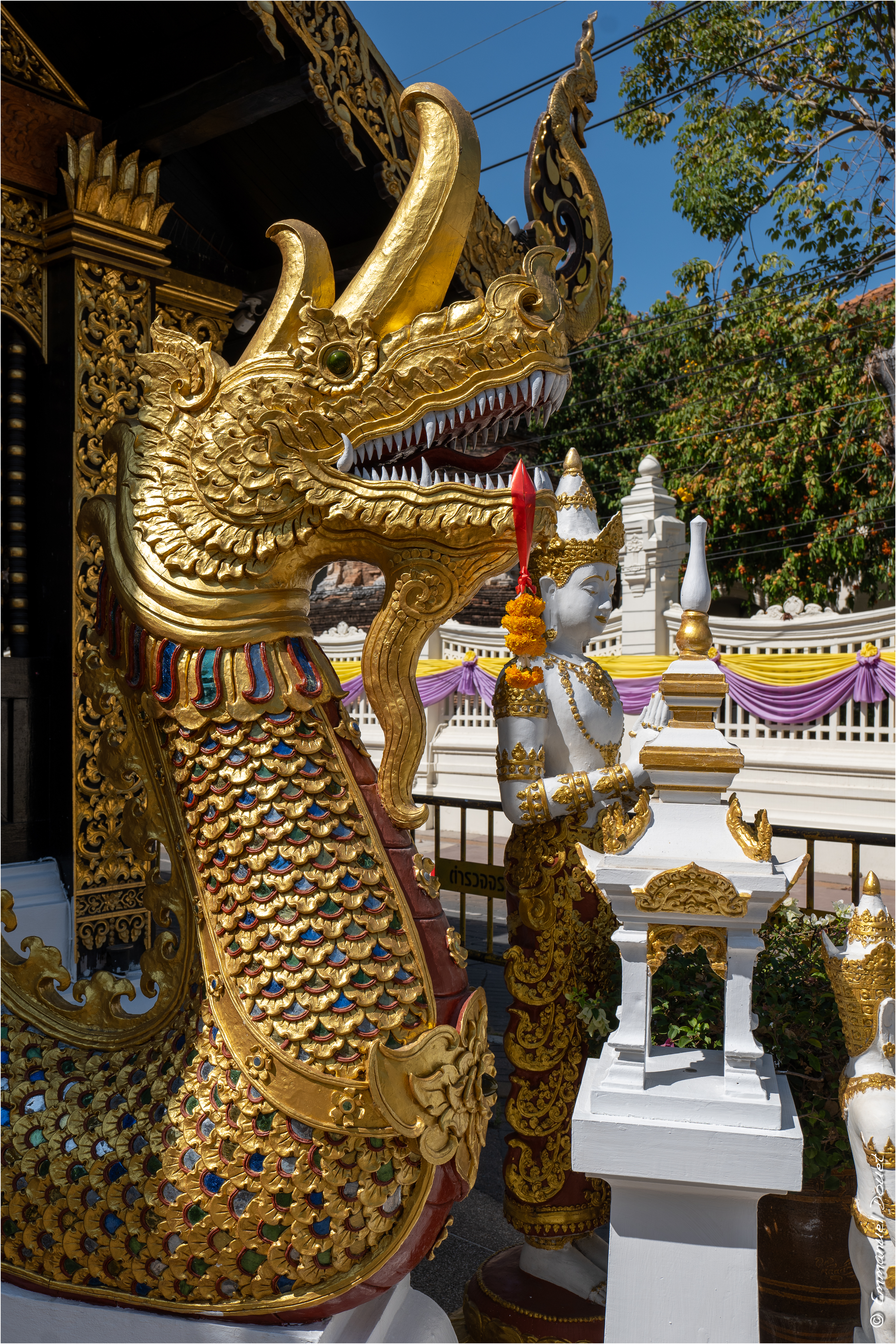 2025 02 Thaïlande&Laos 47