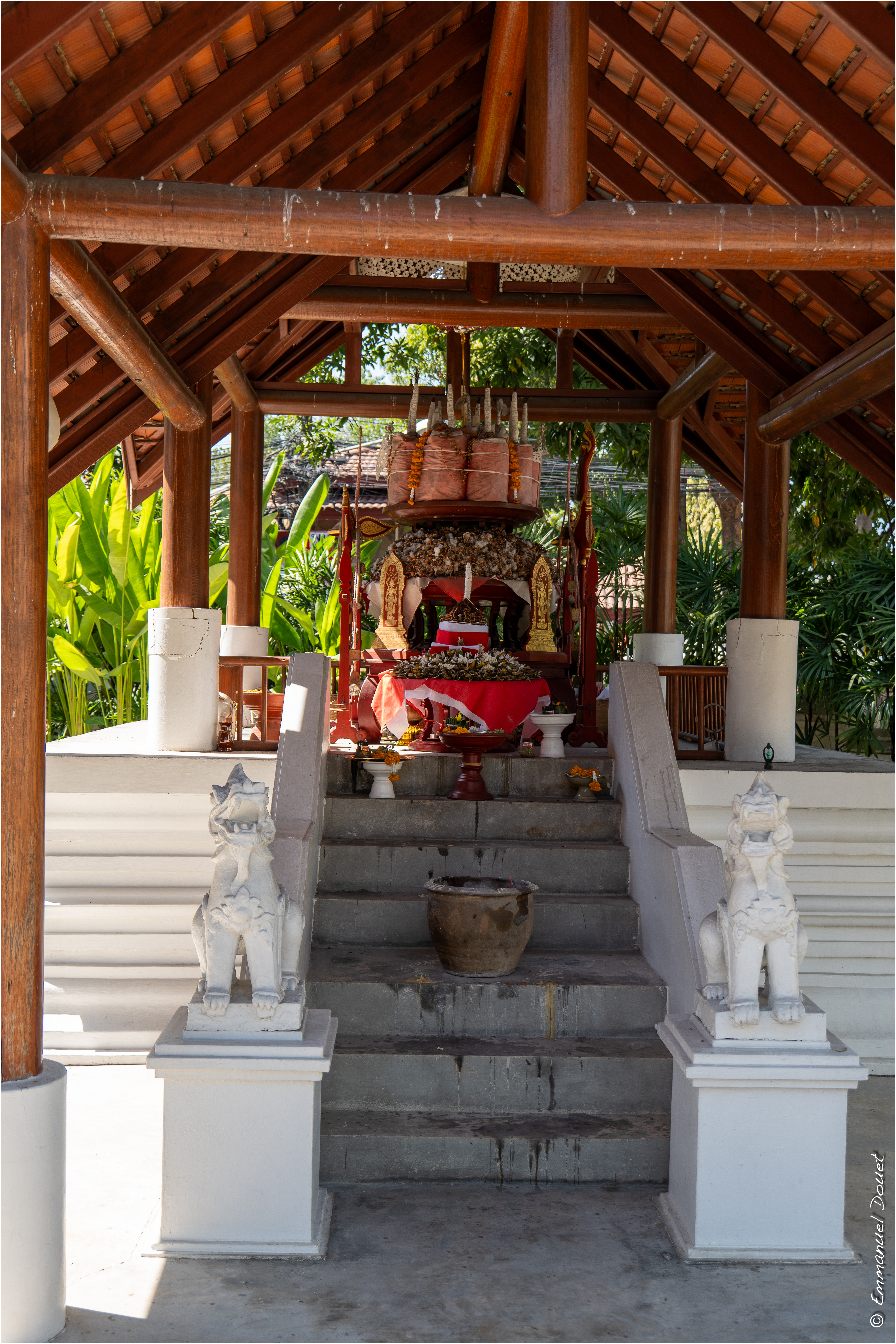 2025 02 Thaïlande&Laos 49