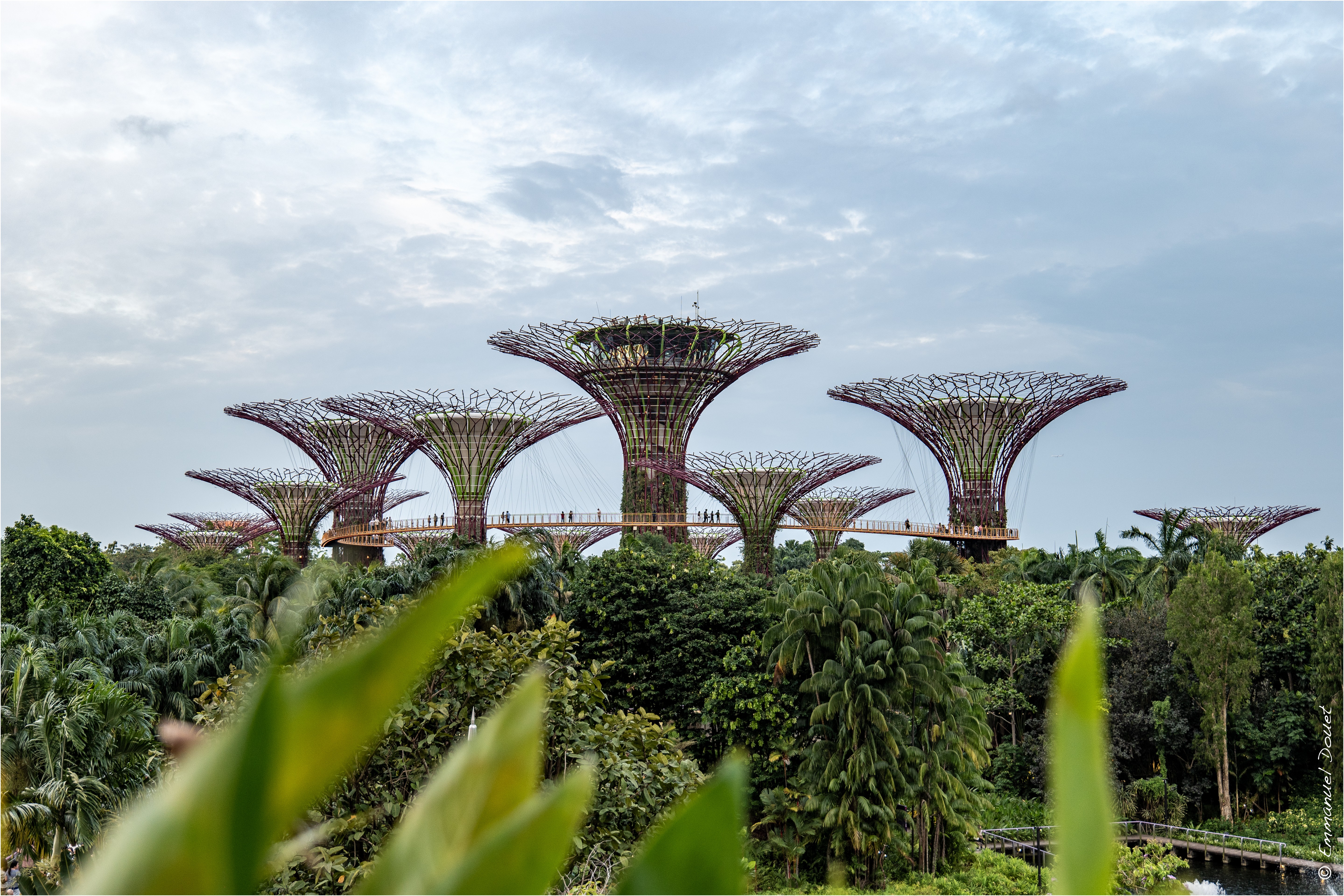 2025 02 Thaïlande&Laos 5