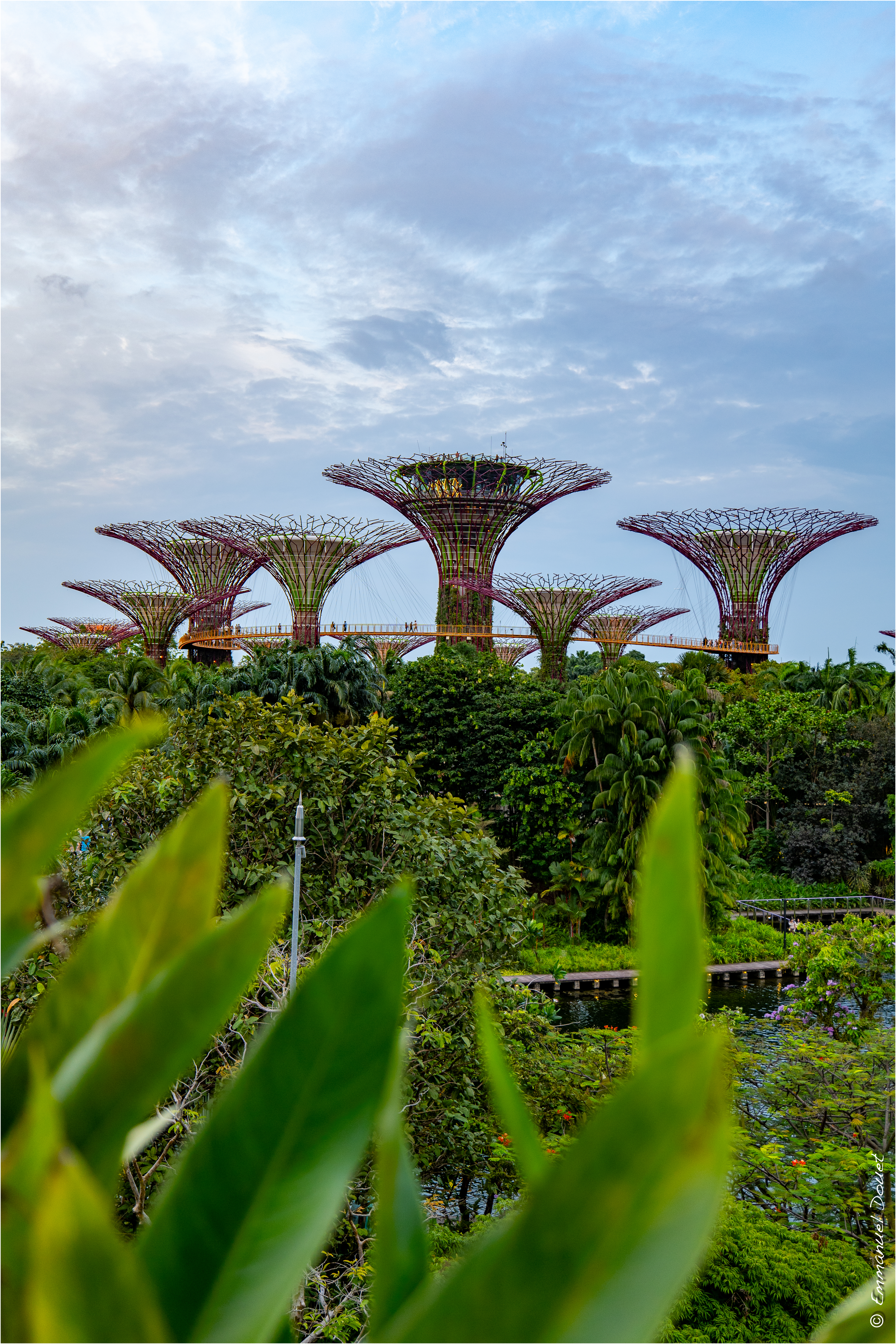 2025 02 Thaïlande&Laos 6