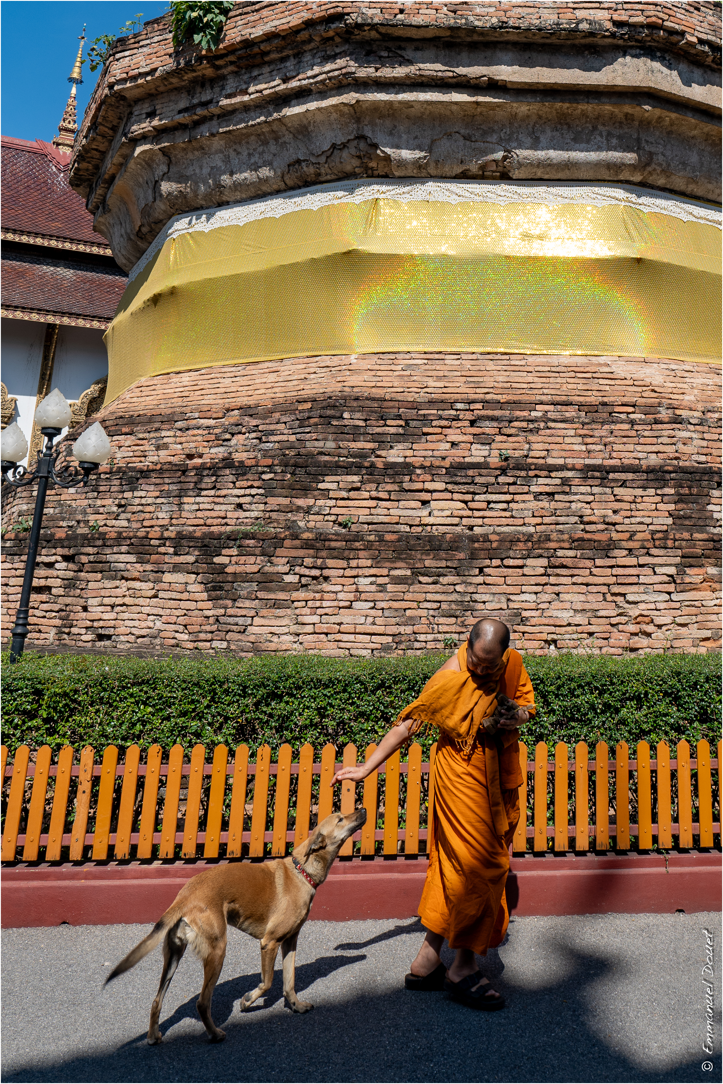 2025 02 Thaïlande&Laos 60