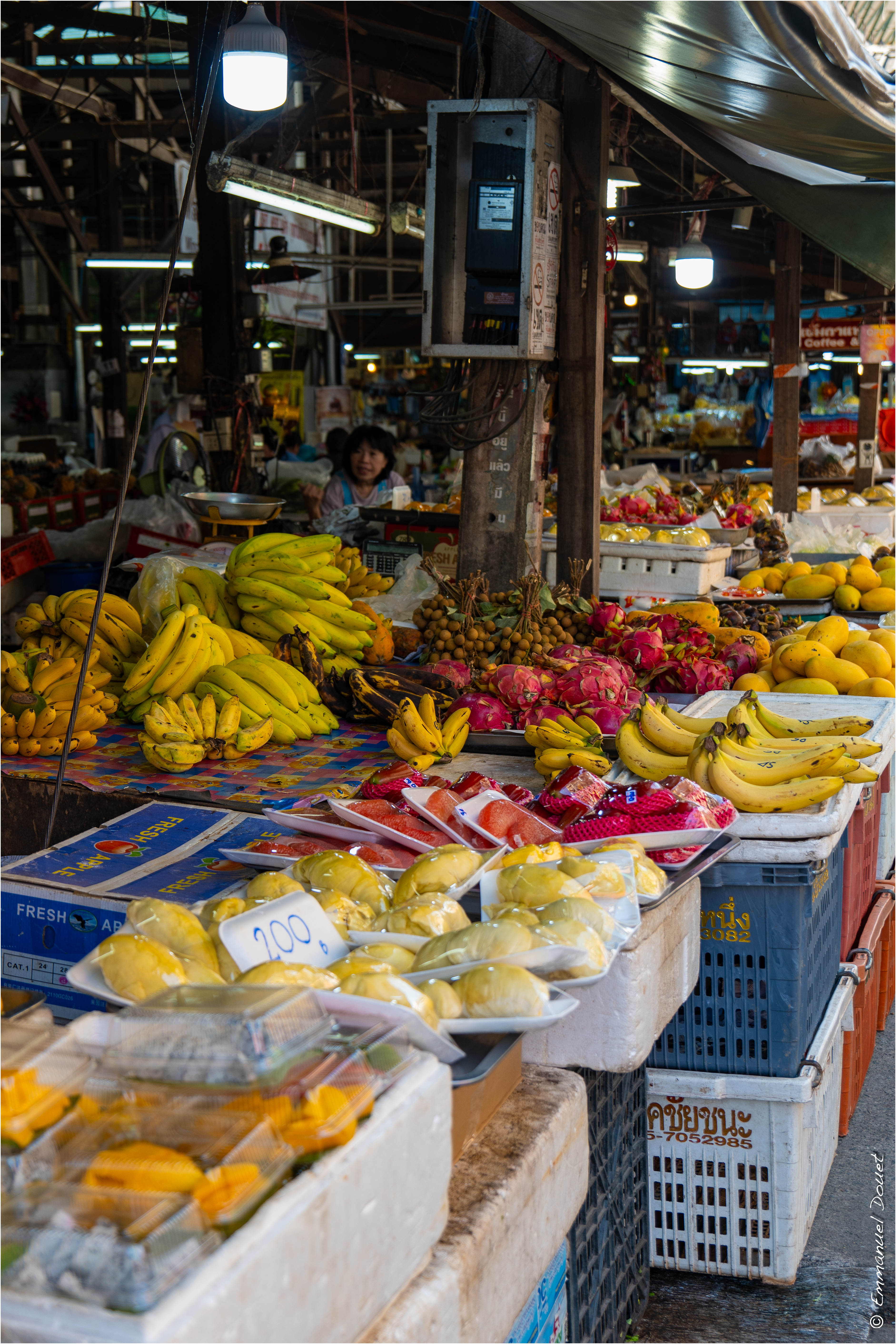 2025 02 Thaïlande&Laos 66