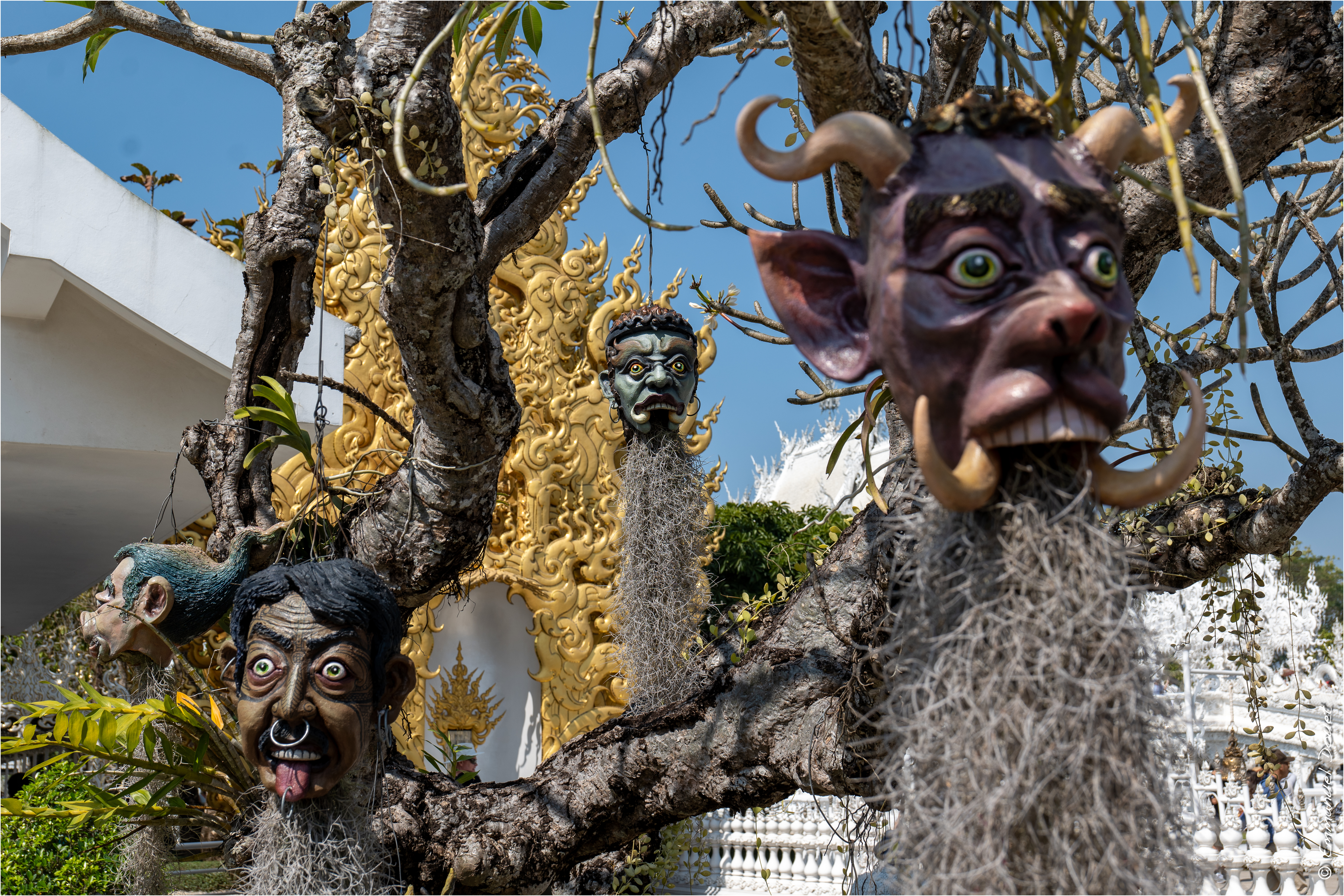 2025 02 Thaïlande&Laos 89