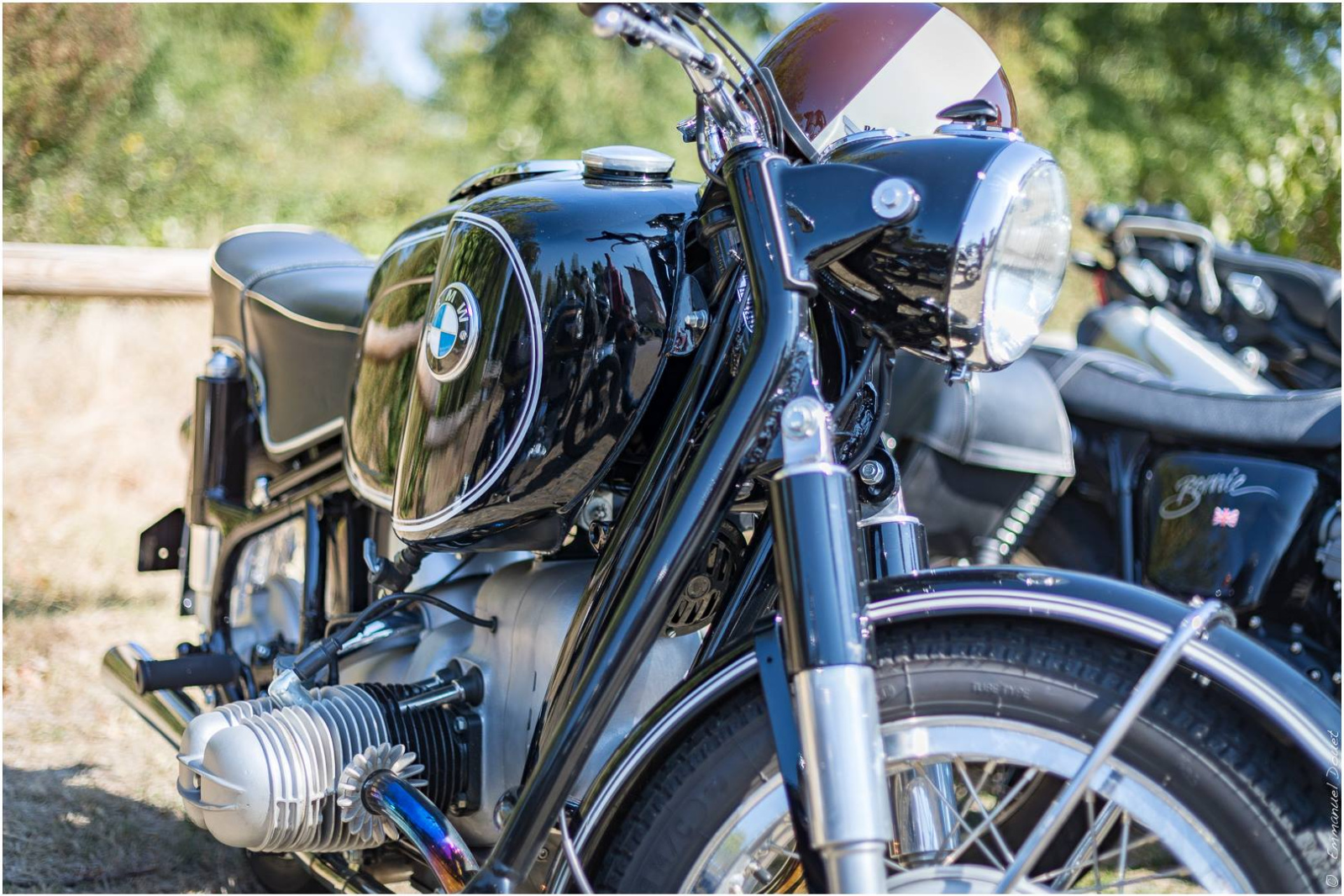 43065990 1897003207021561 7088710201968164864 o 1897003197021562