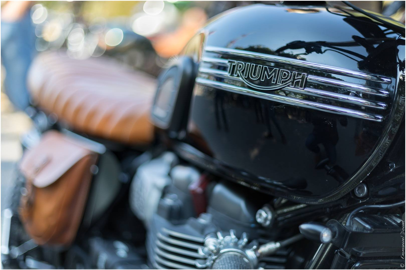 43134395 1897002413688307 5660219347927302144 o 1897002407021641