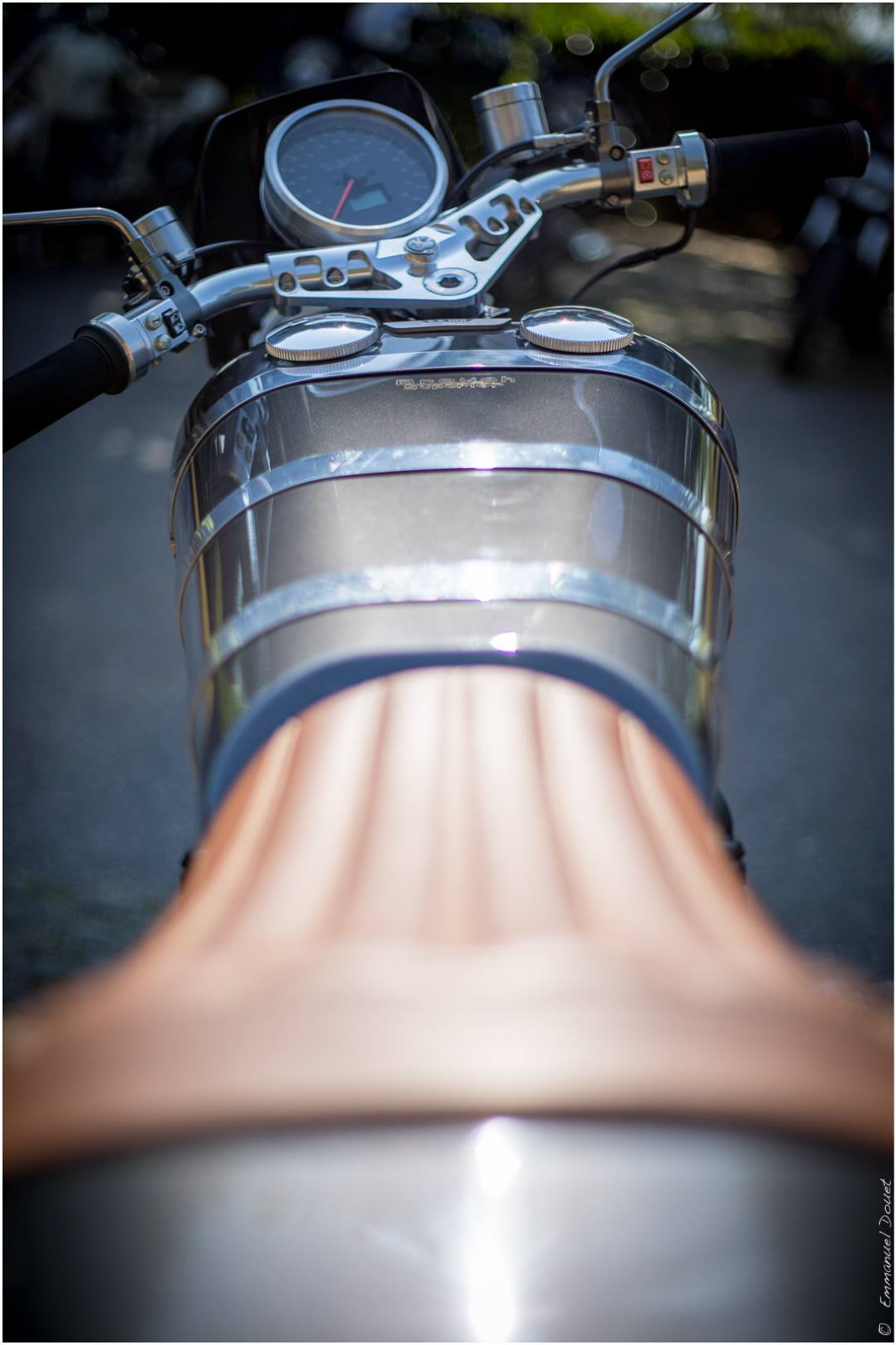 43250596 1897002400354975 7294153395567329280 o 1897002393688309