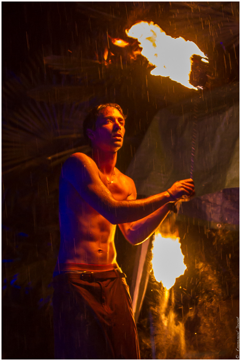 2014 07 ParulledoBrazil 013