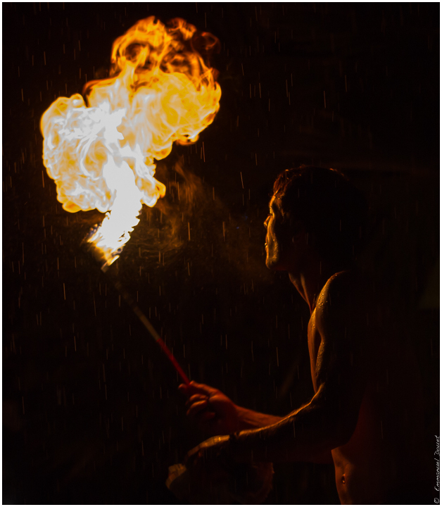 2014 07 ParulledoBrazil 018