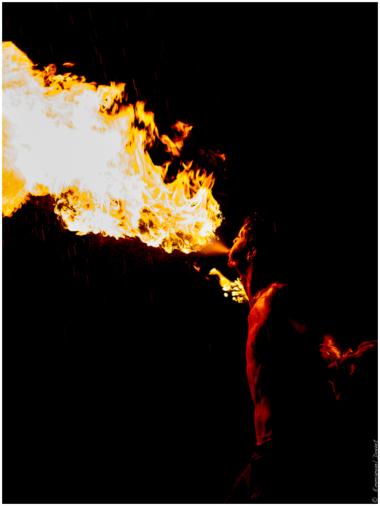 2014 07 ParulledoBrazil 019