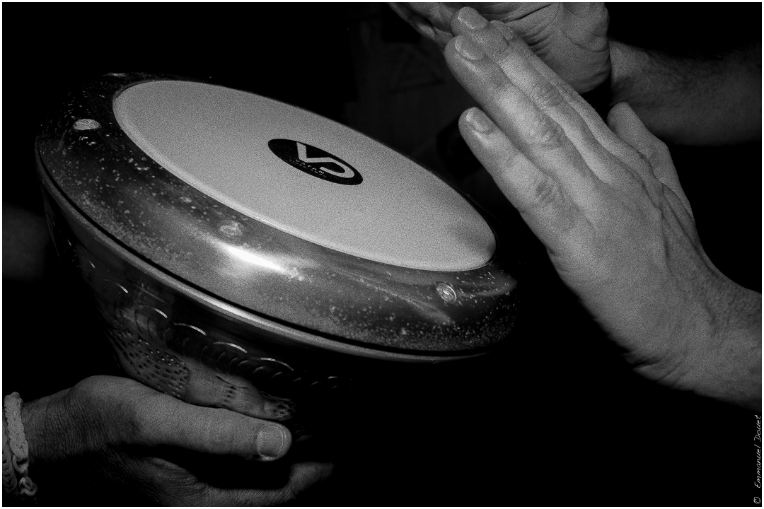 2014 07 ParulledoBrazil 055