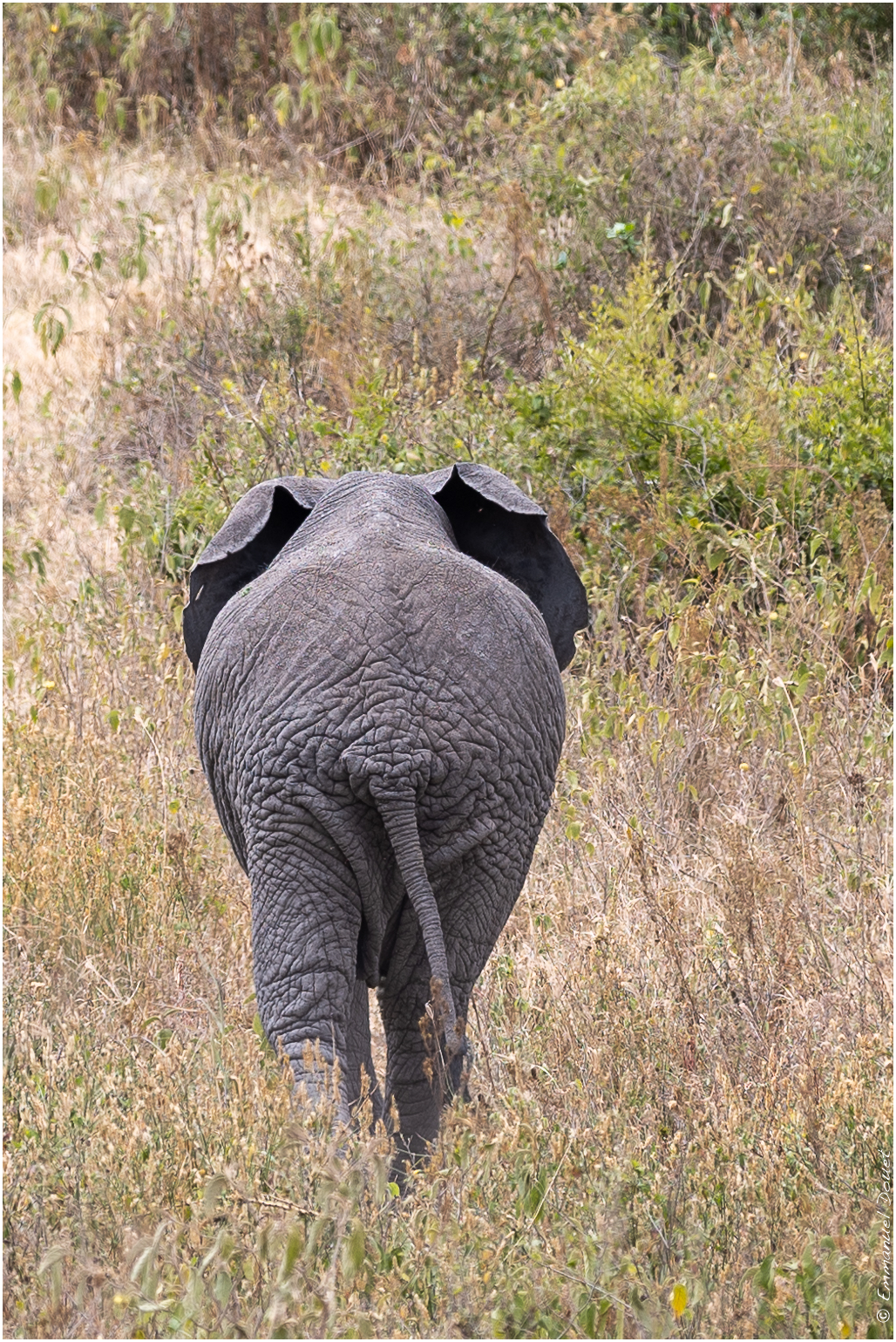 2022 07 Tanzanie 242