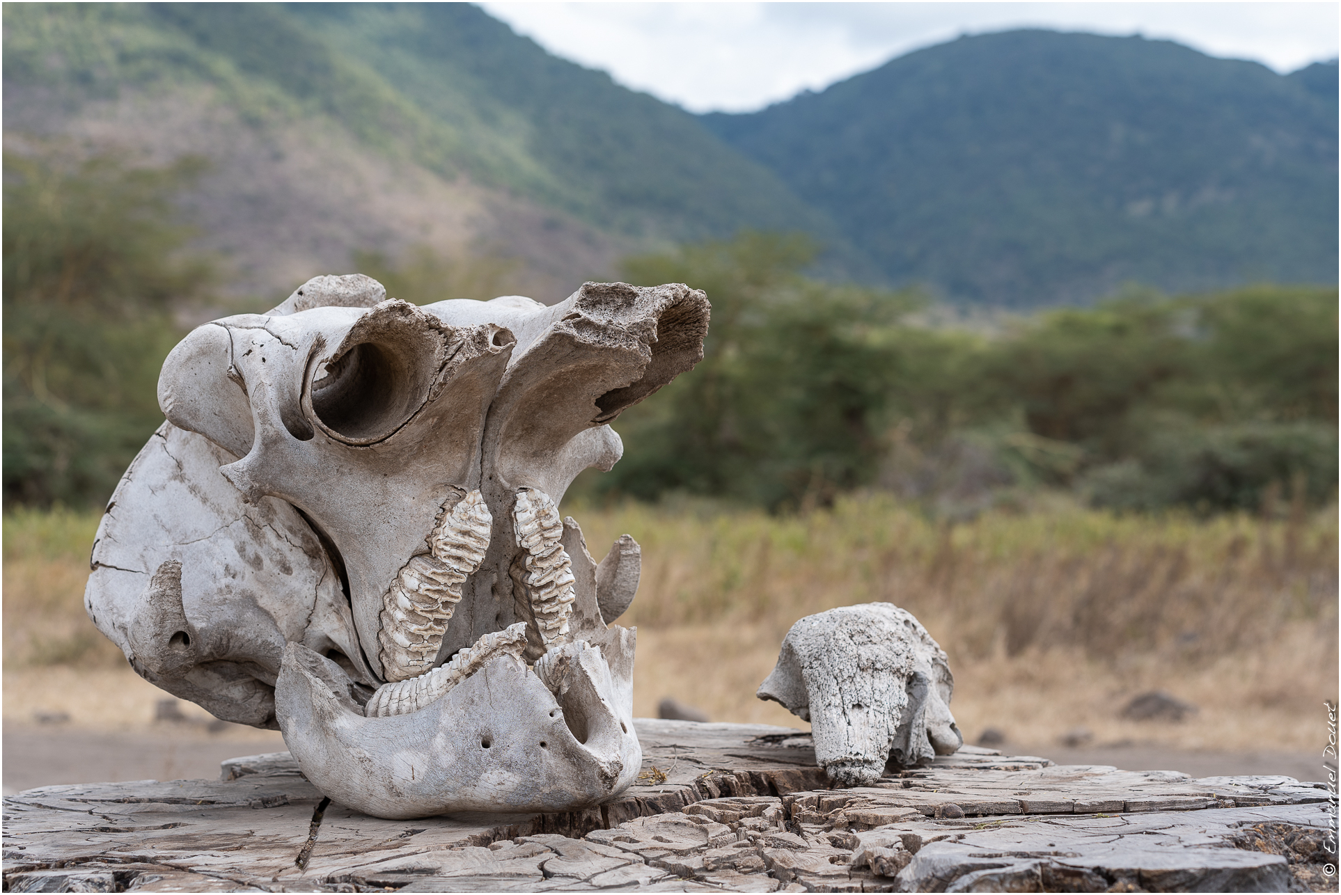 2022 07 Tanzanie 243