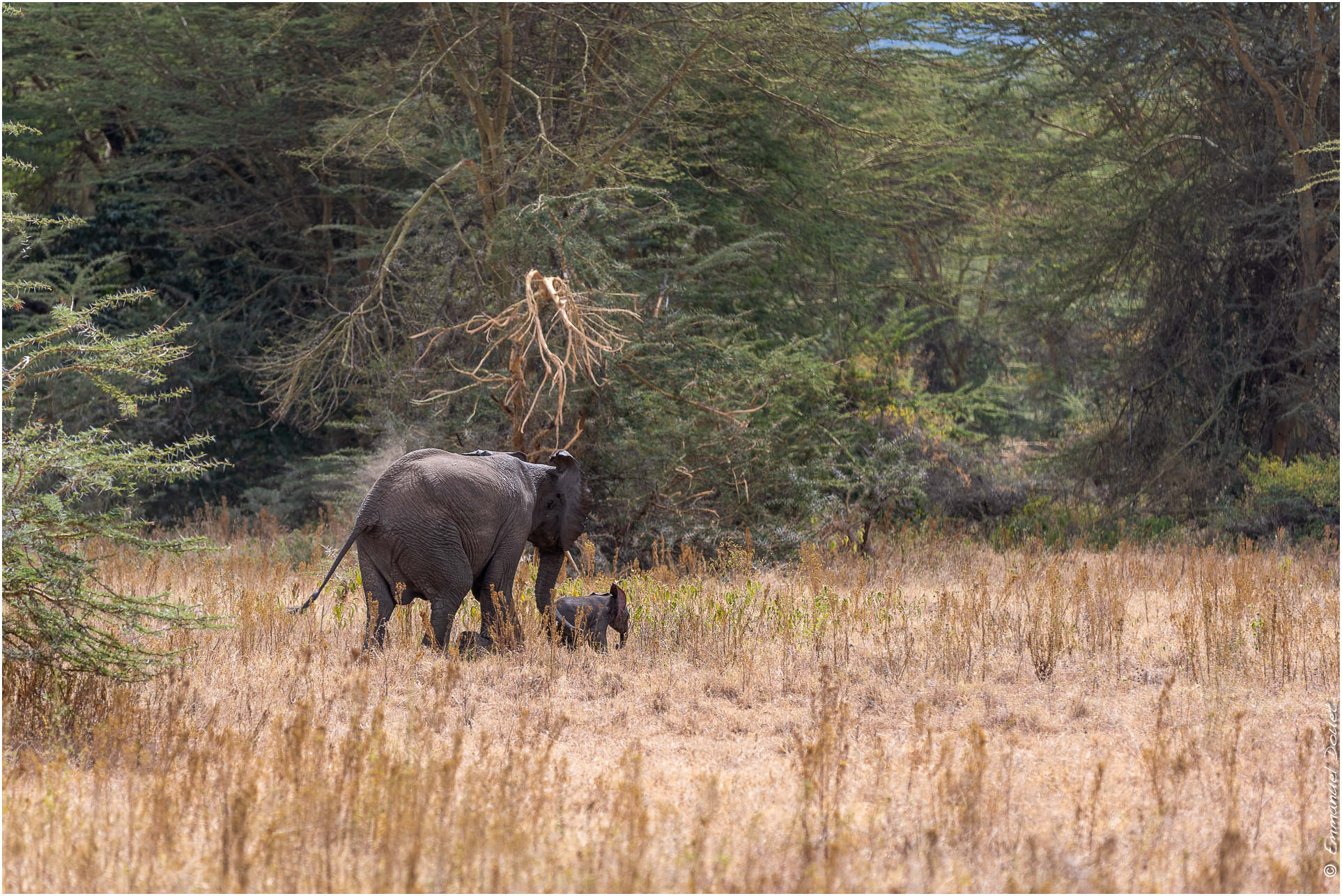 2022 07 Tanzanie 245