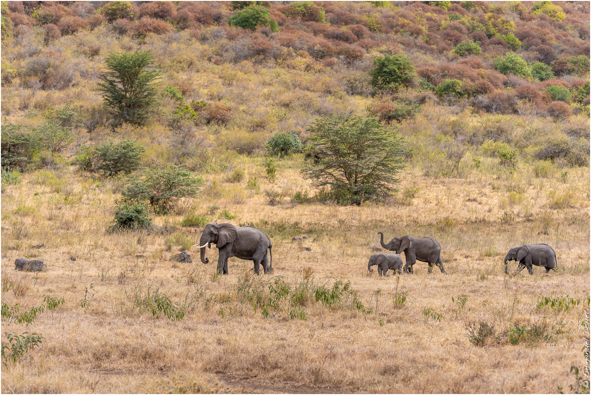 2022 07 Tanzanie 247