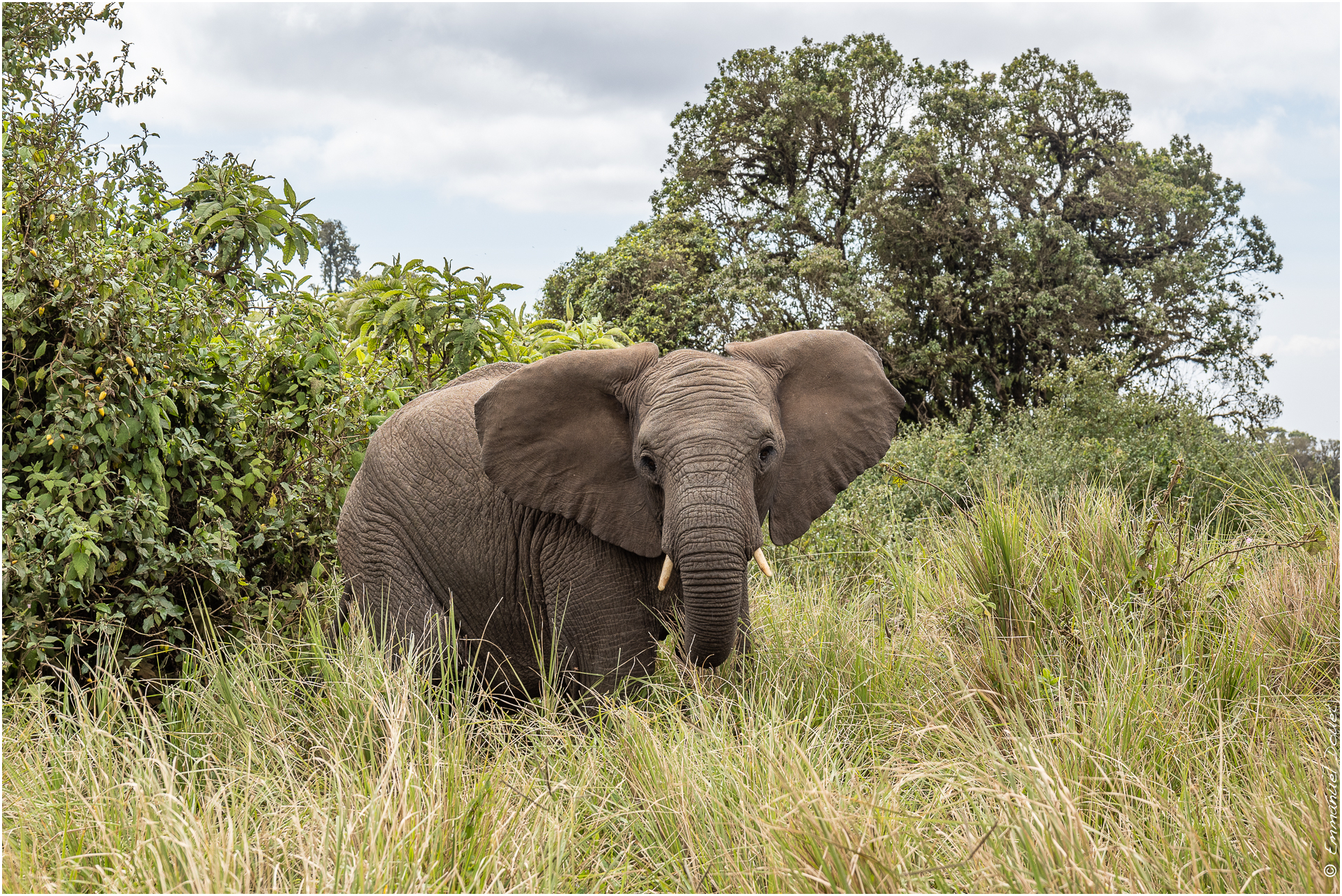 2022 07 Tanzanie 250