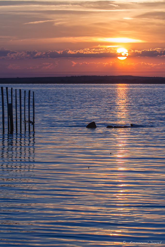 11 - Etang de l'or - 6h10