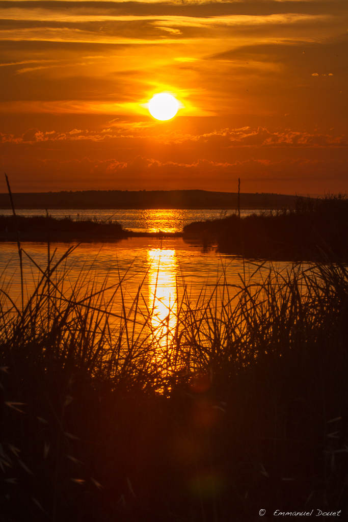 12 - Etang de l'or - 6h12