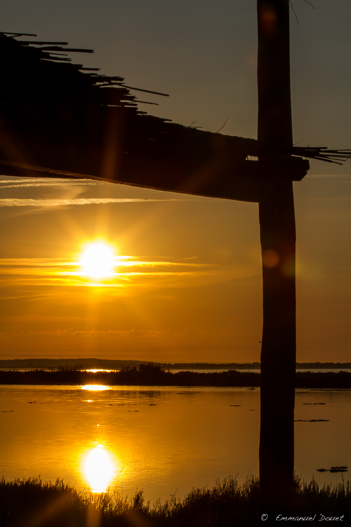 13 - Etang de l'or - 6h15